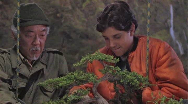 The Karate Kid III Bonsia