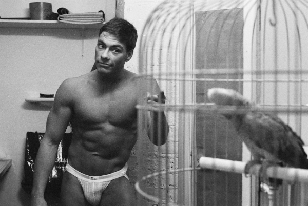 Young JCVD