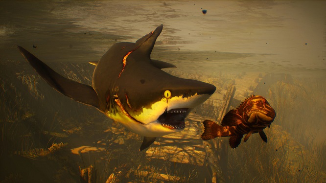 Maneater Shark