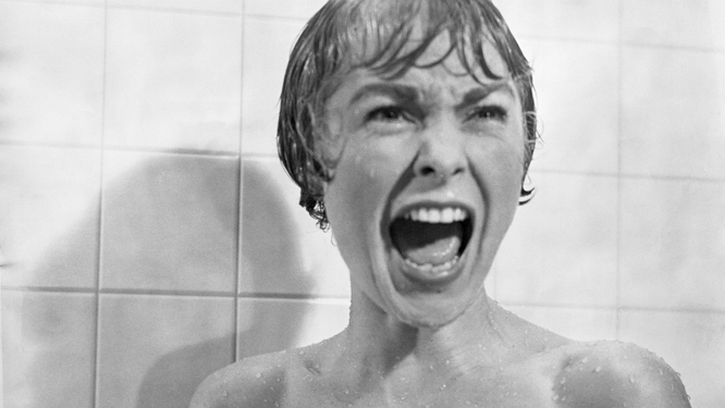 Marion Shower Scream