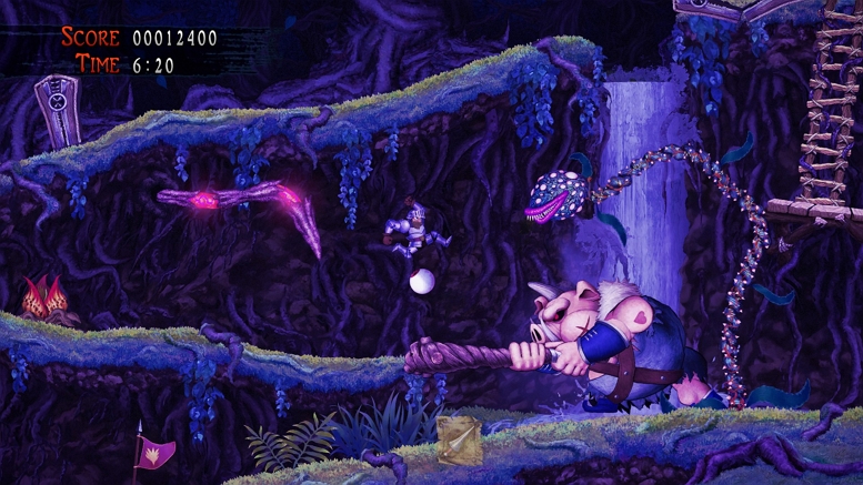 GHOSTS N GOBLINS RESSURECTION SHADOW LEVEL