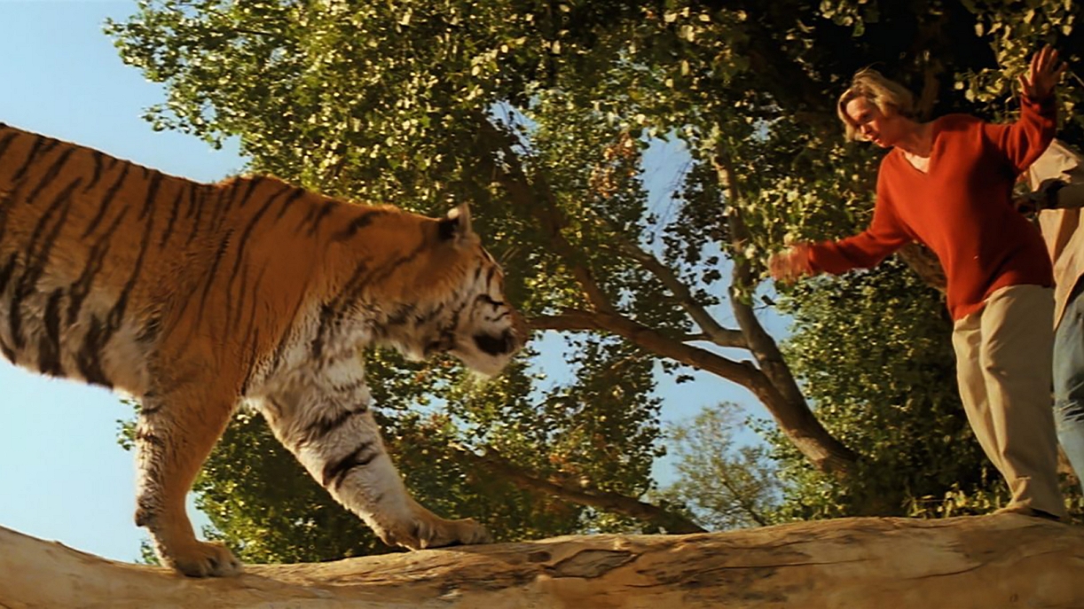 ROAR SCREEN 6