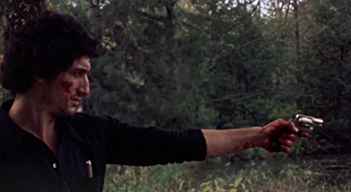 LAST HOUSE ON THE LEFT